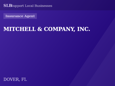 MITCHELL & COMPANY, INC. — Insurance Agent in DOVER, FL