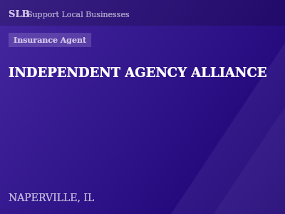 INDEPENDENT AGENCY ALLIANCE — Insurance Agent in NAPERVILLE, IL