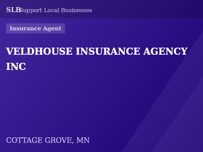 VELDHOUSE INSURANCE AGENCY INC — Insurance Agent in COTTAGE GROVE, MN