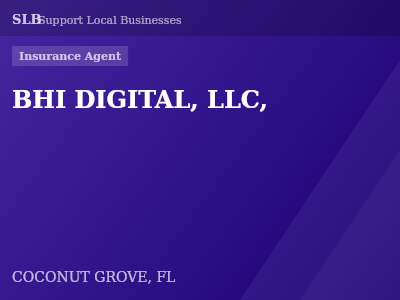 BHI DIGITAL, LLC, — Insurance Agent in COCONUT GROVE, FL