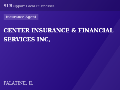 CENTER INSURANCE & FINANCIAL SERVICES INC, — Insurance Agent in PALATINE, IL