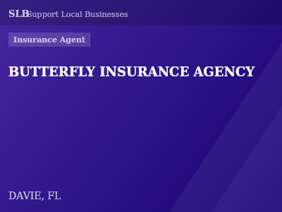 BUTTERFLY INSURANCE AGENCY — Insurance Agent in DAVIE, FL