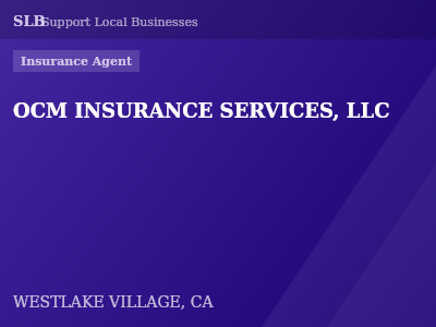 OCM INSURANCE SERVICES, LLC — Insurance Agent in WESTLAKE VILLAGE, CA
