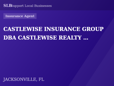 CASTLEWISE INSURANCE GROUP DBA CASTLEWISE REALTY & INSURANCE — Insurance Agent in JACKSONVILLE, FL