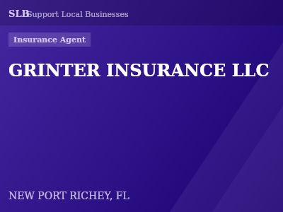 GRINTER INSURANCE LLC — Insurance Agent in NEW PORT RICHEY, FL