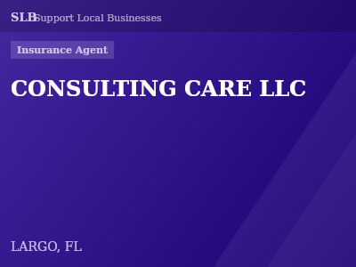 CONSULTING CARE LLC — Insurance Agent in LARGO, FL