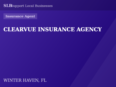 CLEARVUE INSURANCE AGENCY — Insurance Agent in WINTER HAVEN, FL