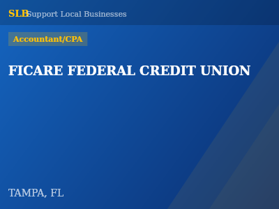FICARE FEDERAL CREDIT UNION — Accountant/CPA in TAMPA, FL