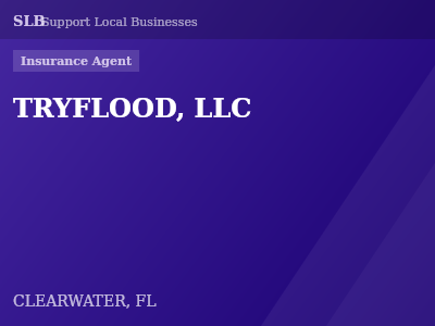 TRYFLOOD, LLC — Insurance Agent in CLEARWATER, FL