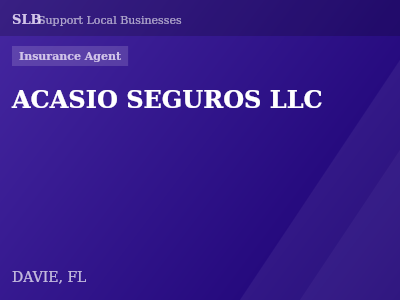 ACASIO SEGUROS LLC — Insurance Agent in DAVIE, FL