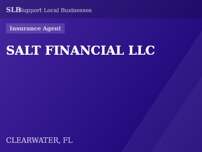 SALT FINANCIAL LLC — Insurance Agent in CLEARWATER, FL