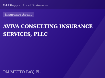 AVIVA CONSULTING INSURANCE SERVICES, PLLC — Insurance Agent in PALMETTO BAY, FL