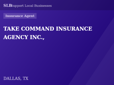 TAKE COMMAND INSURANCE AGENCY INC., — Insurance Agent in DALLAS, TX