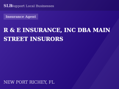 R & E INSURANCE, INC DBA MAIN STREET INSURORS — Insurance Agent in NEW PORT RICHEY, FL