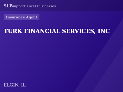 TURK FINANCIAL SERVICES, INC — Insurance Agent in ELGIN, IL
