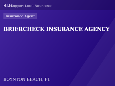 BRIERCHECK INSURANCE AGENCY — Insurance Agent in BOYNTON BEACH, FL