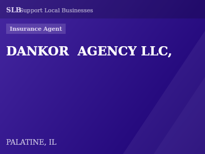 DANKOR  AGENCY LLC, — Insurance Agent in PALATINE, IL