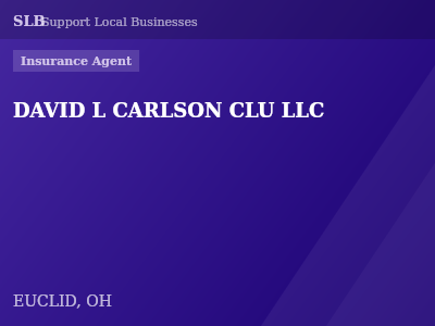 DAVID L CARLSON CLU LLC — Insurance Agent in EUCLID, OH