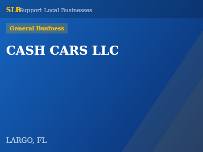 CASH CARS LLC — General Business in LARGO, FL