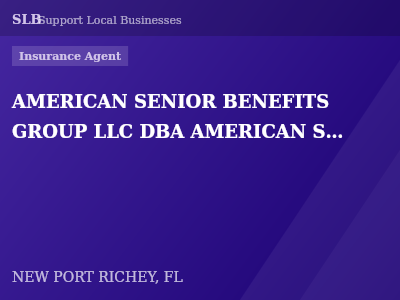 AMERICAN SENIOR BENEFITS GROUP LLC DBA AMERICAN SENIOR INSURANCE GROUP — Insurance Agent in NEW PORT RICHEY, FL