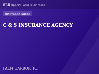 C & S INSURANCE AGENCY — Insurance Agent in PALM HARBOR, FL