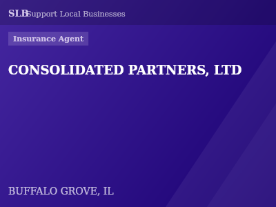 CONSOLIDATED PARTNERS, LTD — Insurance Agent in BUFFALO GROVE, IL