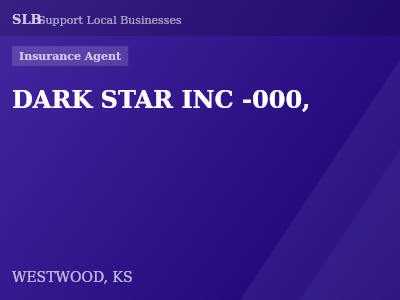 DARK STAR INC -000, — Insurance Agent in WESTWOOD, KS