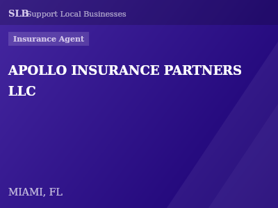 APOLLO INSURANCE PARTNERS LLC — Insurance Agent in MIAMI, FL