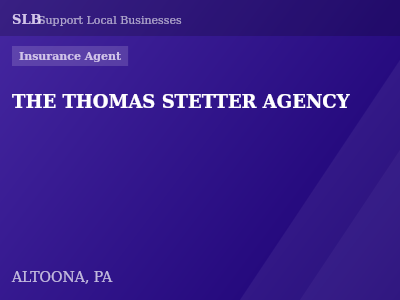 THE THOMAS STETTER AGENCY — Insurance Agent in ALTOONA, PA
