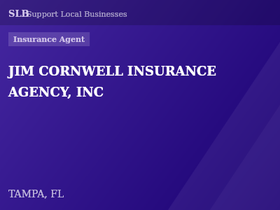 JIM CORNWELL INSURANCE AGENCY, INC — Insurance Agent in TAMPA, FL