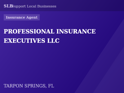 PROFESSIONAL INSURANCE EXECUTIVES LLC — Insurance Agent in TARPON SPRINGS, FL