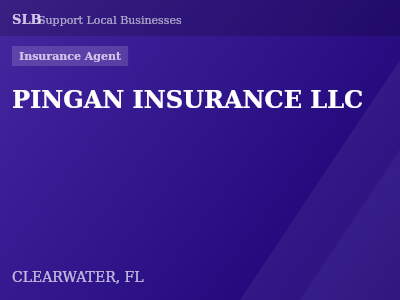 PINGAN INSURANCE LLC — Insurance Agent in CLEARWATER, FL