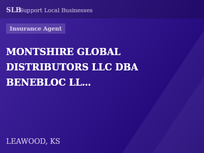 MONTSHIRE GLOBAL DISTRIBUTORS LLC DBA BENEBLOC LLC, — Insurance Agent in LEAWOOD, KS