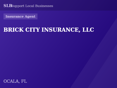 BRICK CITY INSURANCE, LLC — Insurance Agent in OCALA, FL