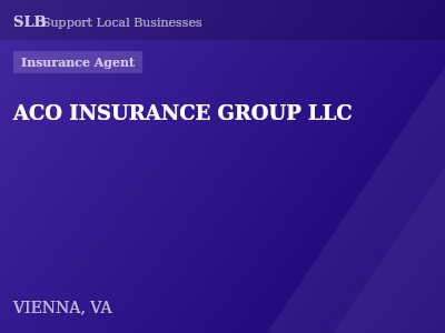 ACO INSURANCE GROUP LLC — Insurance Agent in VIENNA, VA