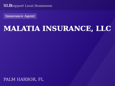 MALATIA INSURANCE, LLC — Insurance Agent in PALM HARBOR, FL