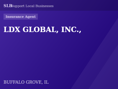 LDX GLOBAL, INC., — Insurance Agent in BUFFALO GROVE, IL