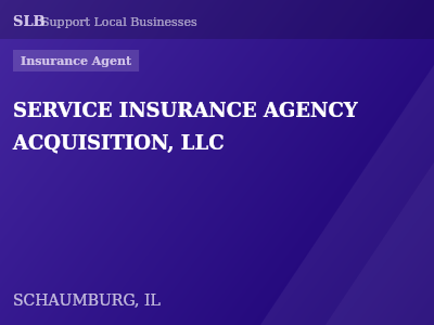 SERVICE INSURANCE AGENCY ACQUISITION, LLC — Insurance Agent in SCHAUMBURG, IL