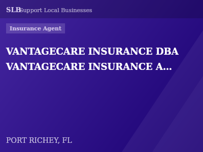 VANTAGECARE INSURANCE DBA VANTAGECARE INSURANCE AGENCY — Insurance Agent in PORT RICHEY, FL