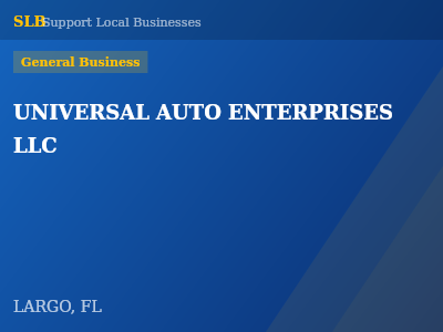 UNIVERSAL AUTO ENTERPRISES LLC — General Business in LARGO, FL