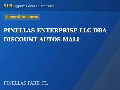 PINELLAS ENTERPRISE LLC DBA DISCOUNT AUTOS MALL — General Business in PINELLAS PARK, FL