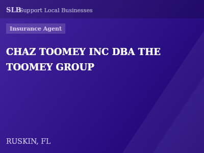 CHAZ TOOMEY INC DBA THE TOOMEY GROUP — Insurance Agent in RUSKIN, FL
