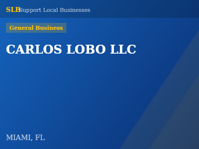 CARLOS LOBO LLC — General Business in MIAMI, FL