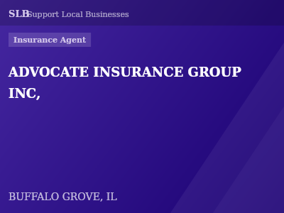 ADVOCATE INSURANCE GROUP INC, — Insurance Agent in BUFFALO GROVE, IL