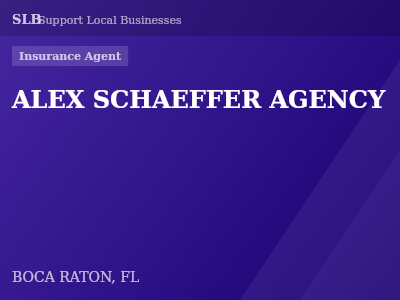 ALEX SCHAEFFER AGENCY — Insurance Agent in BOCA RATON, FL