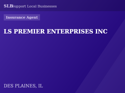 LS PREMIER ENTERPRISES INC — Insurance Agent in DES PLAINES, IL