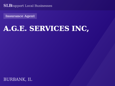 A.G.E. SERVICES INC, — Insurance Agent in BURBANK, IL