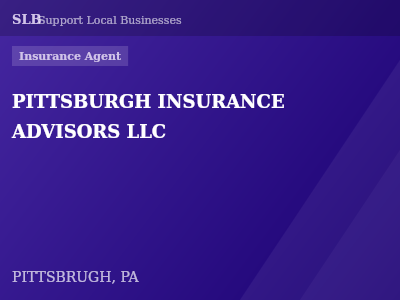 PITTSBURGH INSURANCE ADVISORS LLC — Insurance Agent in PITTSBRUGH, PA
