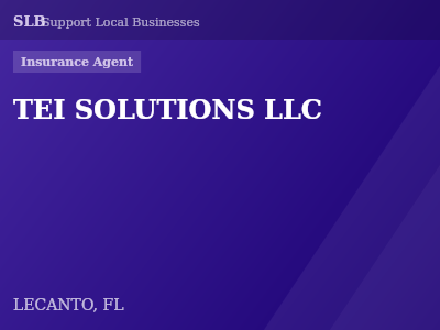 TEI SOLUTIONS LLC — Insurance Agent in LECANTO, FL