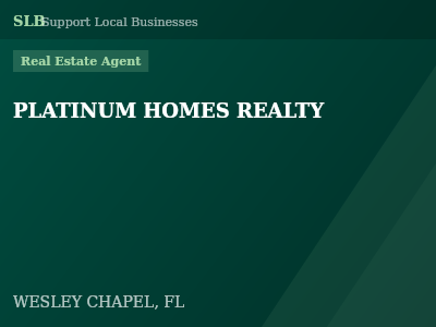 PLATINUM HOMES REALTY — Real Estate Agent in WESLEY CHAPEL, FL